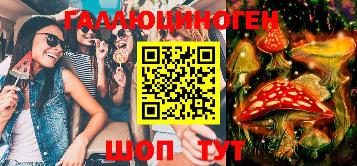 Псилоцибиновые грибы Psilocybe Казань