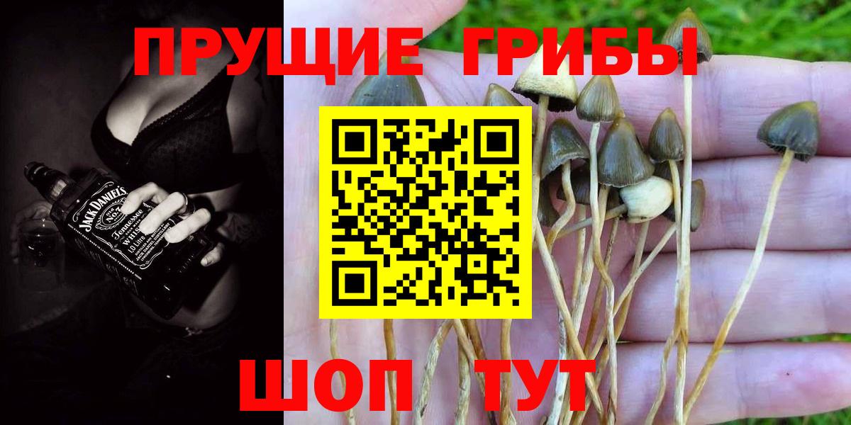 Галлюциногенные грибы Psilocybe  Вход с VPN  где продают   Казань  Псилоцибиновые грибы Psilocybe 